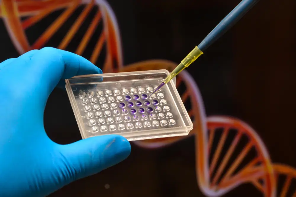 understanding dna methylation testing health insights