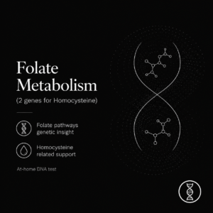 Folate Metabolism
